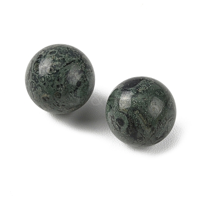 Natural Kambaba Jasper Sphere Beads GG-D003-A20-1