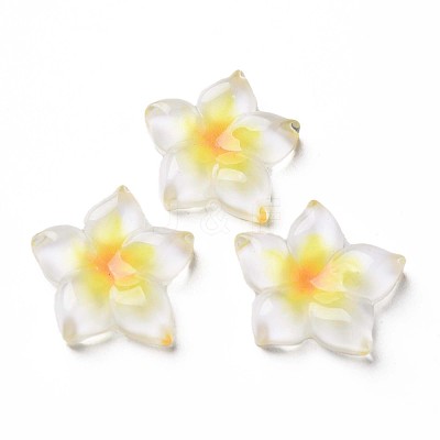 Transparent Epoxy Resin Cabochons X-CRES-S365-23A-1