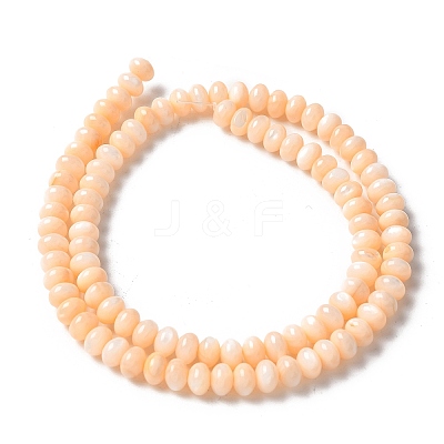 Natural Freshwater Shell Beads Strands SSHEL-C013-07H-1