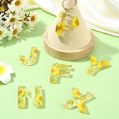 26Pcs 26 Styles Transparent Epoxy Resin Pendants CRES-YW0002-28L-1