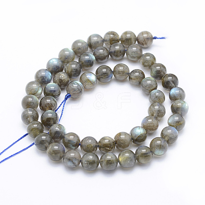 Natural Labradorite Beads Strands G-P336-19-8mm-1