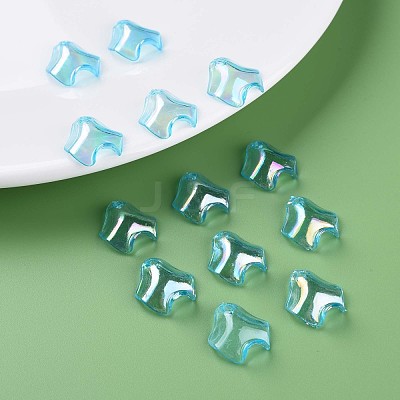 Transparent Acrylic Pendants MACR-S373-106-C01-1