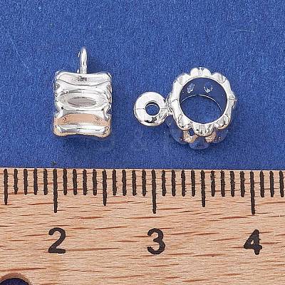 Alloy Tube Bails FIND-B029-12S-1