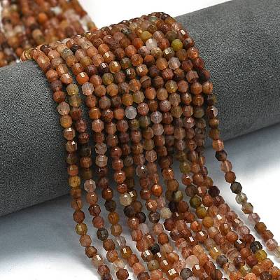 Natural Gemstone Beads Strands G-A260-A02-01-1