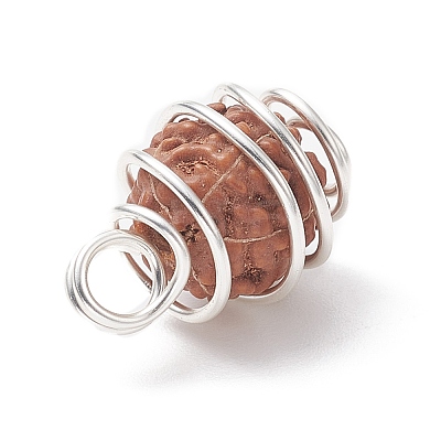 Natural Rudraksha Copper Wire Wrapped Pendants PALLOY-JF02068-02-1