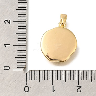 Brass Pave Paua Shell Pendants KK-K388-80G-1