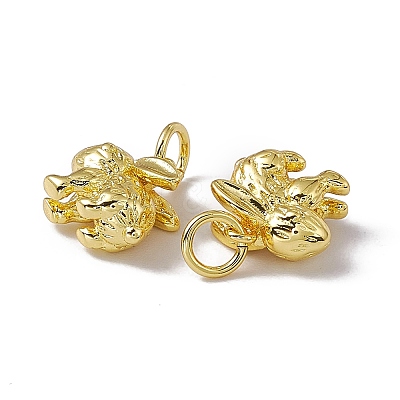 Rack Plating Brass Charms KK-C007-17G-1