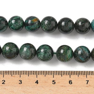 Natural Fuchsite Beads Strands G-G271-B03-10mm-1