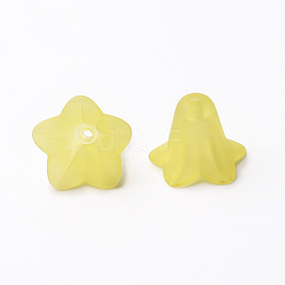 Transparent Acrylic Beads X-PLF018-19-1