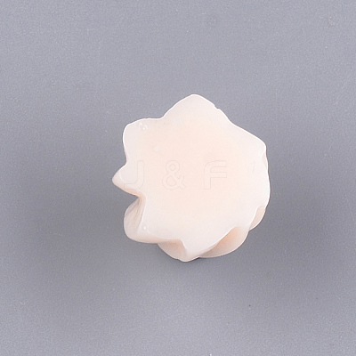 Resin Decoden Cabochons CRES-T010-40B-1