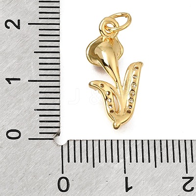 Brass Micro Pave Clear Cubic Zirconia Pendants CU-G605-18G-1