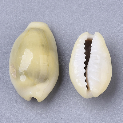Natural Cowrie Shell Beads SSHEL-N034-C-26-1