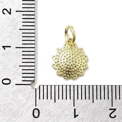 Brass Enamel Pendants KK-P338-19G-01-1