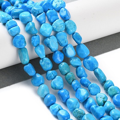 Natural Howlite Turquoise Beads Strands G-P497-01C-55-1
