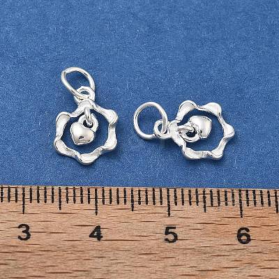 925 Sterling Silver Charms STER-D302-05A-S-1