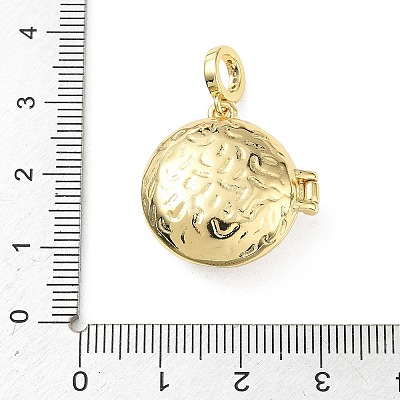 Brass Enamel Photo Locket Pendants KK-A303-19B-G-1