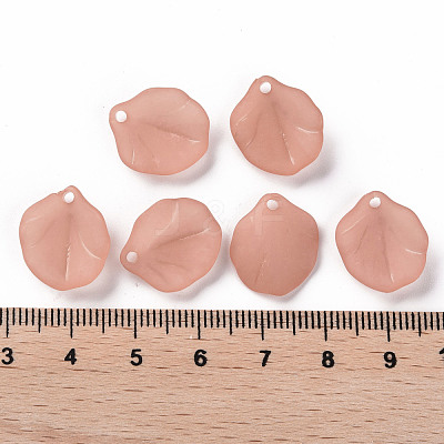 Transparent Frosted Acrylic Pendants MACR-S371-02A-763-1
