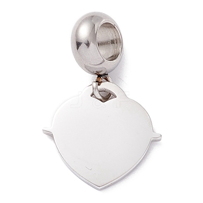 304 Stainless Steel European Dangle Charms STAS-I192-13P-1