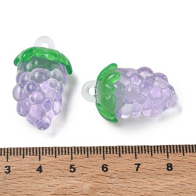 Transparent Acrylic Pendants AC-CBA873C-03E-1