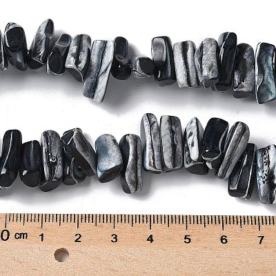 Dyed Natural Trochus Shell Beads Strands SSHEL-C013-09A-1