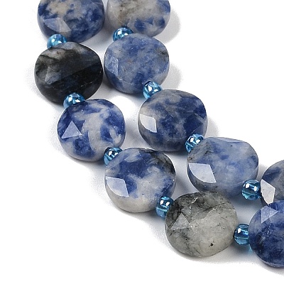 Natural Blue Spot Jasper Beads Strands G-C116-A79-01-1