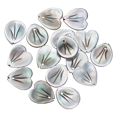 16Pcs 2 Styles Natural Black Lip Shell Charms SSHEL-GA0001-09-1