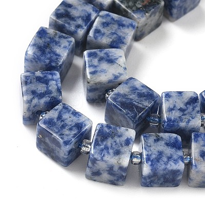 Natural Blue Spot Jasper Beads Strands G-D338-A02-1