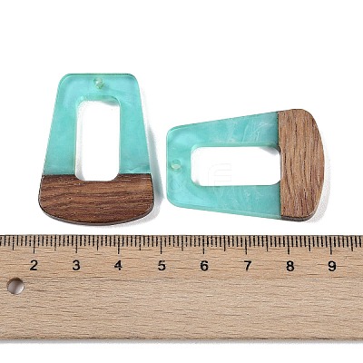 Resin & Wood Pendants WOOD-F015-11C-1