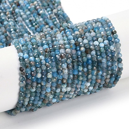 Natural Apatite Beads Strands G-G139-A02-01-1