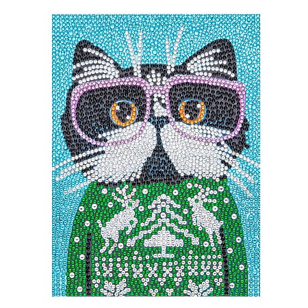 Sweater Cat DIY Diamond Painting Kits PW-WG29861-01-1