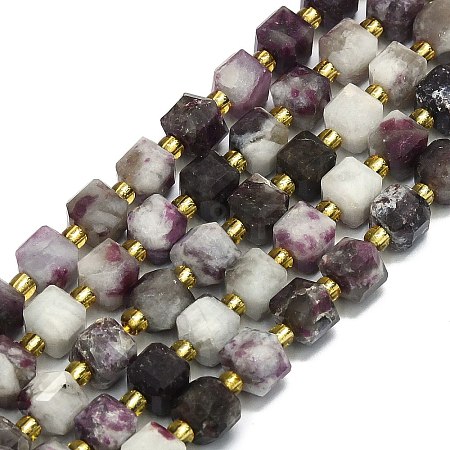 Natural Plum Blossom Tourmaline Beads Strand G-I376-D79-01-1