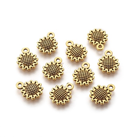 Tibetan Style Alloy Charms GLF10257Y-1