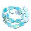 AB Color Freshwater Shell Bead Strands SHEL-T009-04-2