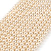Preciosa® MAXIMA Crystal Nacre Pearls Y-PRC-NPA4-70000-2