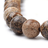 Natural Picture Jasper Beads Strands X-G-S259-27-8mm-3