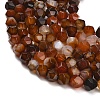 Natural Agate(Dyed & Heated) Beads Strands G-K425-B01-01-3