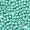6/0 Glass Seed Beads SEED-S058-A-F439-3