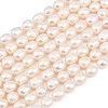 Natural Cultured Freshwater Pearl Beads Strands PEAR-F020-24C-2