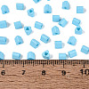 FGB Baking Paint Glass Seed Beads SEED-Q040-09A-14-4