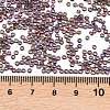 MIYUKI Round Rocailles Beads X-SEED-G007-RR0294-3