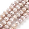 Natural Cultured Freshwater Pearl Beads Strands PEAR-C003-01D-1