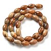 Natural Picture Jasper Beads Strands G-B106-B21-01-3