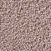 MIYUKI Round Rocailles Beads SEED-JP0009-RR0579-3