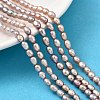 Natural Cultured Freshwater Pearl Beads Strands PEAR-I007-01P-04B-1