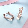 Fashion Popular Brass Micro Pave Cubic Zirconia Hoop Earrings EJEW-BB15421-4