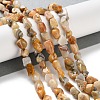 Natural Crazy Agate Beads Strands G-P497-01C-08-2