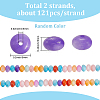 2 Strands Natural Freshwater Shell Beads Strands SHEL-SC0001-74-2