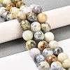 Natural African Opal Beads Strands G-B048-B03-03-2
