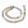 Natural Grey Moonstone Beads Strands G-F632-24-05-1