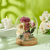 Glass Dome Cover AJEW-WH0248-550C-5
